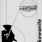 Kewanite 1981